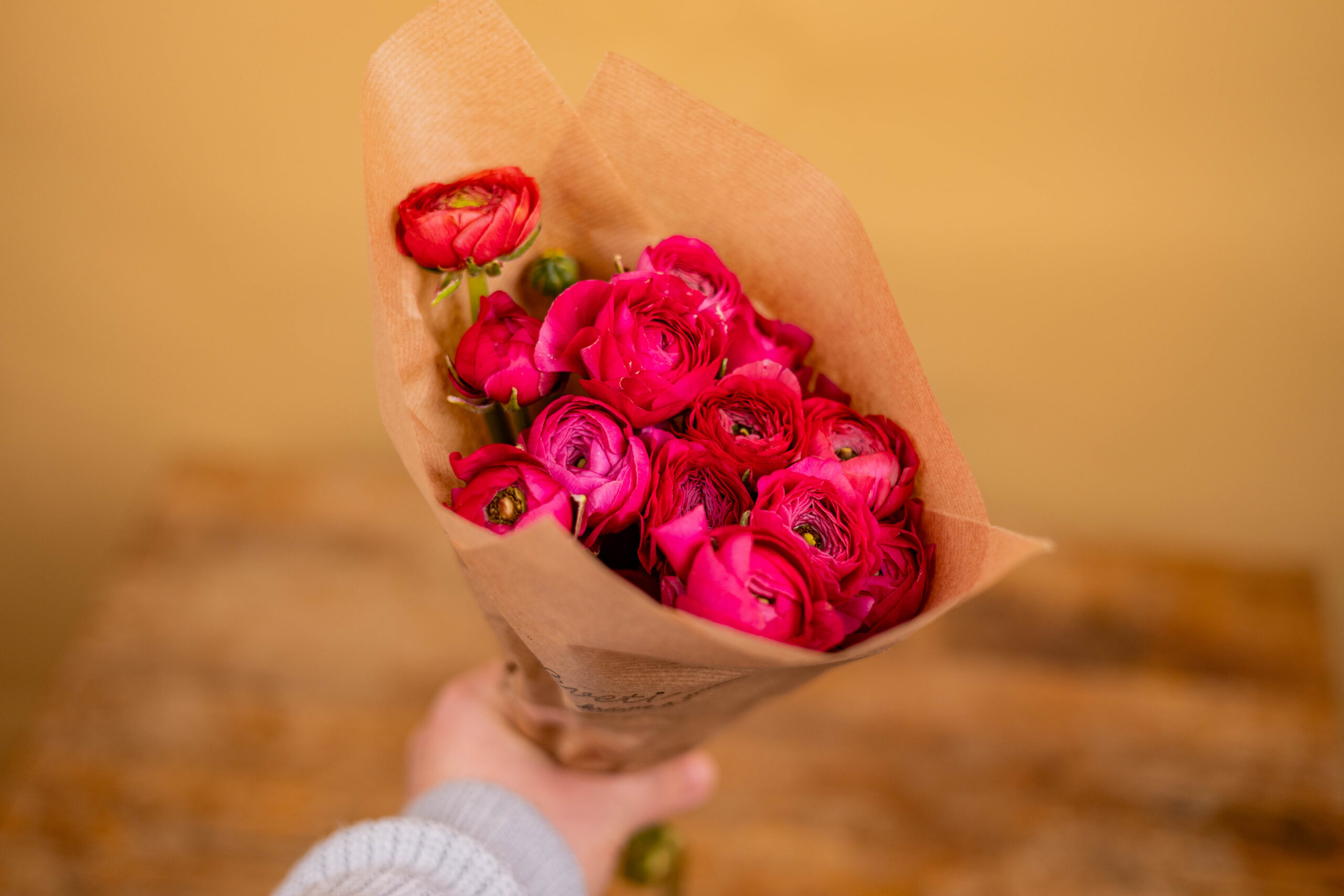 Zväzok Iskerníkov - Ranunculus – Obrázok 2