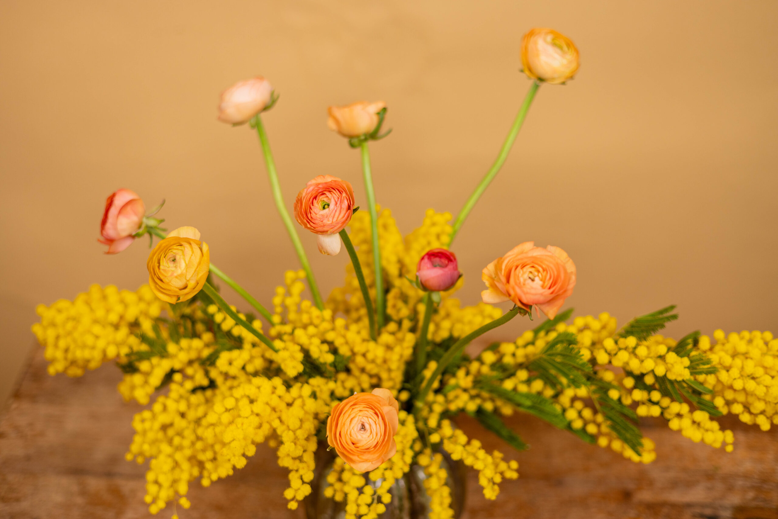 Zväzok Iskerníkov - Ranunculus – Obrázok 3
